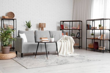 Konforlu kanepe, sehpa ve oturma odasının içi kitaplarla dolu raflar.