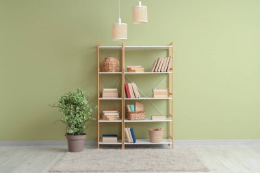 Kitaplı, dekorlu ve yeşil duvarlı raflar.