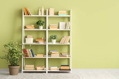 Kitaplı, dekorlu ve yeşil duvarlı raflar.