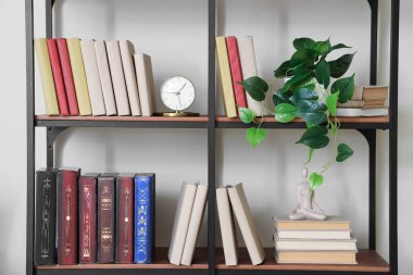 Işık duvarının yanında bitki ve alarmlı kitaplık.