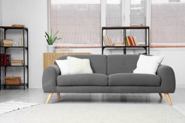 Kitap rafları, penceresi ve kanepesi olan aydınlık oturma odasının içinde.