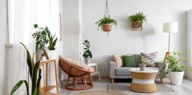 Interior of living room with green plants, sofa and armchair