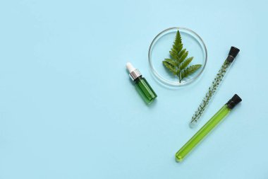 Bir şişe yağ, mavi zemin üzerine doğal kozmetik ürünleri hazırlamak için numune ve malzemelerle dolu bir laboratuvar bardağı.