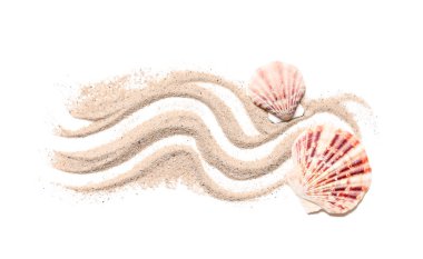 Beyaz arkaplanda çizgileri olan deniz kabukları ve kumlar