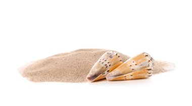 Kum yığını ve beyaz arka planda güzel deniz kabukları.