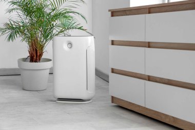 Oturma odasındaki palmiye ağacının yanında hava temizleyici var.