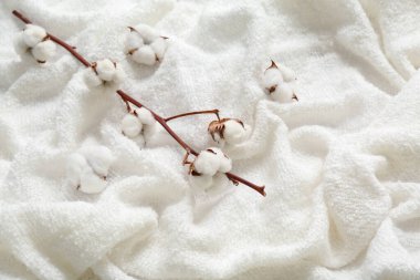 Kabarık battaniyede çiçekler olan pamuk filizi.