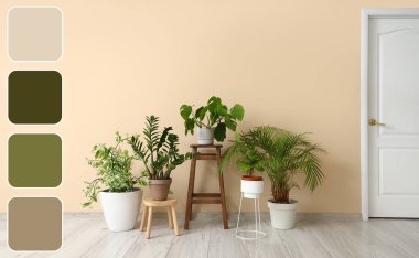 Odada bej duvarın yanında yeşil bitkiler olan tabureler. Farklı renk desenleri