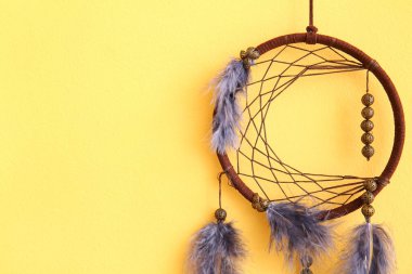 Sarı duvarda asılı düş kapanı, yakın plan