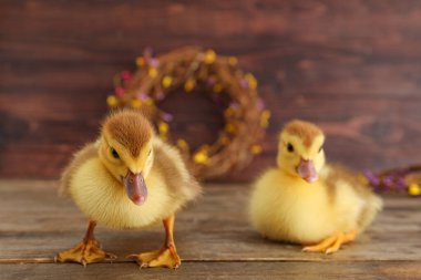 Şirin ördek yavruları ve tahta masada çelenk.