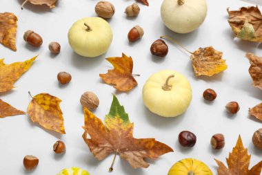 Gri arkaplanda balkabakları, meşe palamutları ve yapraklarla sonbahar kompozisyonu