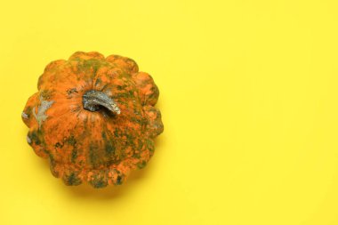 Sarı arka planda taze balkabağı