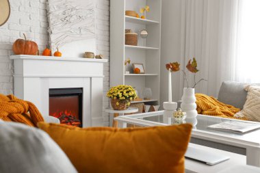 Gri kanepeleri, kasımpatı çiçekleri ve şöminesi olan aydınlık oturma odasının içinde.