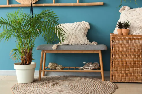 Yastıklı bank, kadın ayakkabıları ve mavi duvarın yanındaki bitkiler.