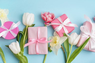 Güzel laleli hediye kutuları ve mavi arka planda nergis çiçekleri.