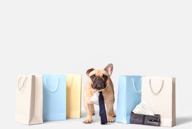 Alışveriş torbaları ve beyaz arka planda parası olan güzel bir Fransız bulldog 'u.