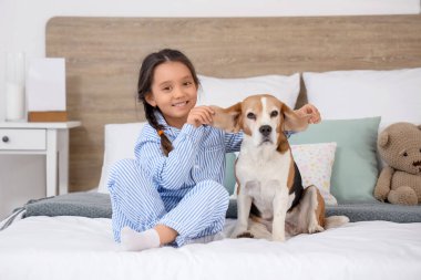 Küçük tatlı Asyalı kız ve Beagle köpeği yatak odasında oturuyor.