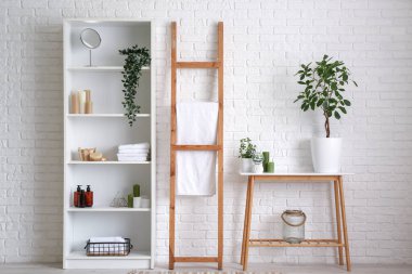 Ev bitkisi, masa ve raf üniteleriyle dolu bir oda.