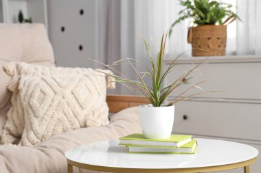 Rahat kanepe, yastık ve sehpası olan bir oturma odası.