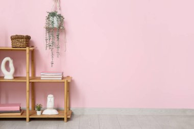 Dekorlu raf ünitesi ve pembe duvarın yanında asılı ev bitkisi.