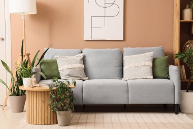 Oturma odasındaki kanepe, kahve masası, lamba ve bitkiler.