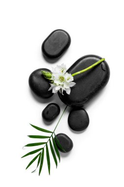 Siyah spa taşlı kompozisyon, güzel çiçek ve beyaz arka planda palmiye yaprağı.