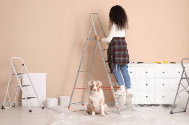 Yeni evdeki tadilat sırasında şirin Avustralya çoban köpeği boyası olan Afro-Amerikan kadın ressam.