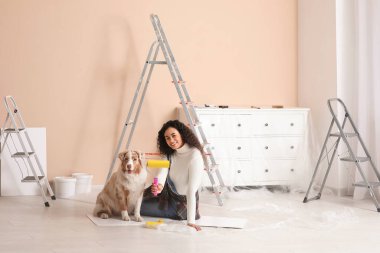 Yeni evdeki tamirat sırasında tatlı Avustralyalı çoban köpeği ve tekerlekli sandalyesi olan mutlu Afro-Amerikan ressam.