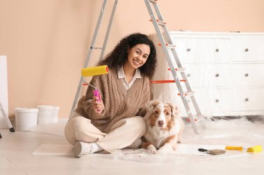 Yeni evdeki tamirat sırasında tatlı Avustralyalı çoban köpeği ve tekerlekli sandalyesi olan mutlu Afro-Amerikan ressam.