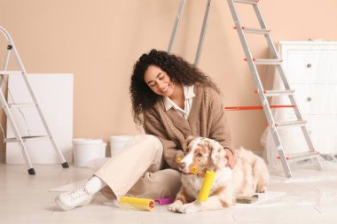 Yeni evdeki tamirat sırasında tatlı Avustralyalı çoban köpeği ve bigudili mutlu Afro-Amerikan ressam.