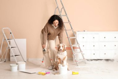 Yeni evdeki tamirat sırasında fırçalı ve şirin Avustralyalı çoban köpeği olan mutlu Afro-Amerikan ressam kadın.