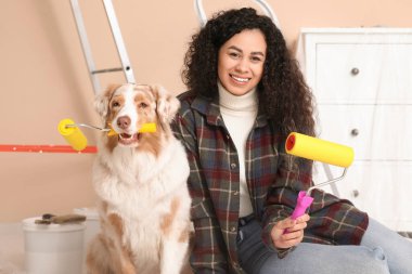 Yeni evdeki tamirat sırasında tatlı Avustralyalı çoban köpeği ve bigudili mutlu Afro-Amerikan ressam.