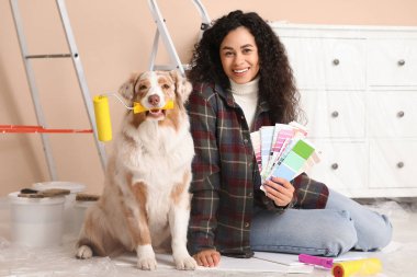 Palet örnekleriyle mutlu Afro-Amerikalı kadın ressam ve yeni evdeki tamirat sırasında oturan tatlı Avustralya çoban köpeği.