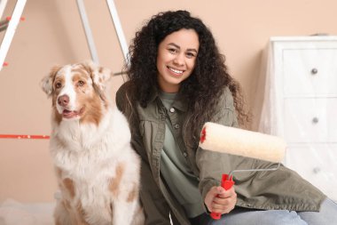 Yeni evdeki tamirat sırasında tatlı Avustralyalı çoban köpeği ve tekerlekli sandalyesi olan mutlu Afro-Amerikan ressam.
