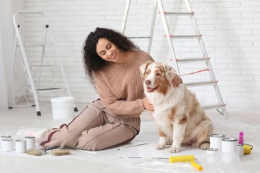 Aletleri olan mutlu Afro-Amerikalı kadın ressam ve yeni evdeki tamirat sırasında oturan sevimli Avustralyalı çoban köpeği.