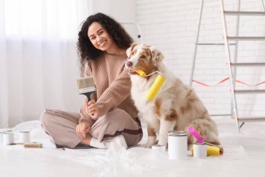 Aletleri olan mutlu Afro-Amerikalı kadın ressam ve yeni evdeki tamirat sırasında oturan sevimli Avustralyalı çoban köpeği.