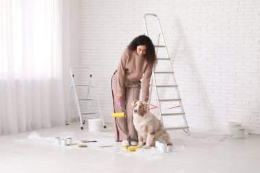 Yeni evdeki tamirat sırasında tatlı Avustralyalı çoban köpeği ve tekerlekli sandalyesi olan mutlu Afro-Amerikalı kadın ressam.