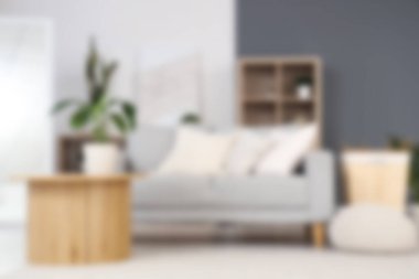 Kanepesi, sepeti ve masası olan modern oturma odasının bulanık görüntüsü