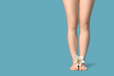 Mavi arka planda güzel beyaz zambak çiçeği olan genç bir kadının bacakları, yakın plan.