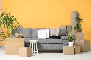 Gri kanepe, ev bitkileri ve karton kutularla dolu yeni bir oturma odası. Taşınma konsepti