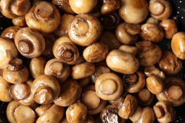 Koyu arkaplanda kavrulmuş mantar dokusu, yakın plan.