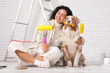 Yeni evdeki tamirat sırasında tatlı Avustralyalı çoban köpeği ve bigudili mutlu Afro-Amerikan ressam.