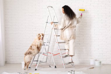 Yeni evdeki tamirat sırasında Avustralyalı şirin çoban köpeği boyalı ve tekerlekli sandalyesi olan mutlu bir Afro-Amerikalı kadın ressam.