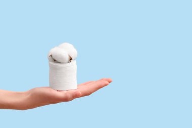 Pamuk çiçekli kadın eli ve mavi arka planda bir yığın pamuk.