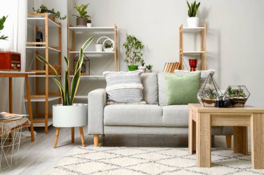 Kanepesi, çiçekleri ve çiçekleri olan aydınlık oturma odasının içinde.