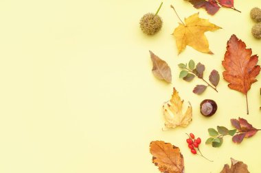 Sarı arkaplanda güzel sonbahar kompozisyonu