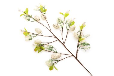 Beyaz arka planda beyaz Paskalya yumurtalarından yapılmış dekoratif dal