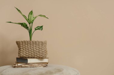 İçinde bir yığın eski kitap ve çiçek sepeti olan puf bej duvarın yanındaki odada.