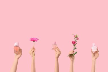 Pembe arka planda parfüm şişeleri, Eustoma ve Gerbera çiçekleri olan kadın elleri.