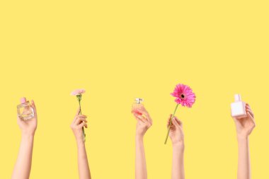 Sarı arka planda parfüm şişeleri ve pembe çiçekli kadın elleri.